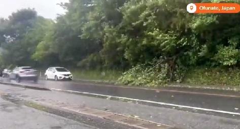 Storm brings torrential rain to Japan, disrupts transport